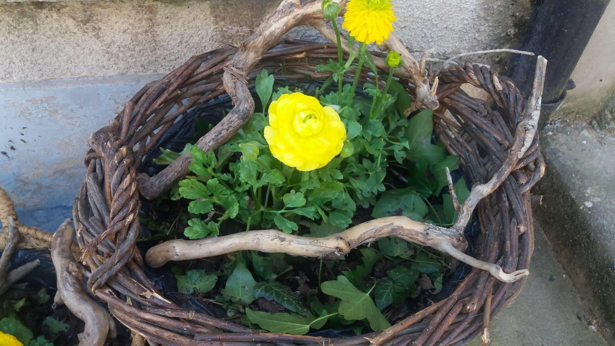 Golden Lion Bed and Breakfast Bouillon Buitenkant foto